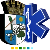 Logo del Departamento de Salud de Requínoa